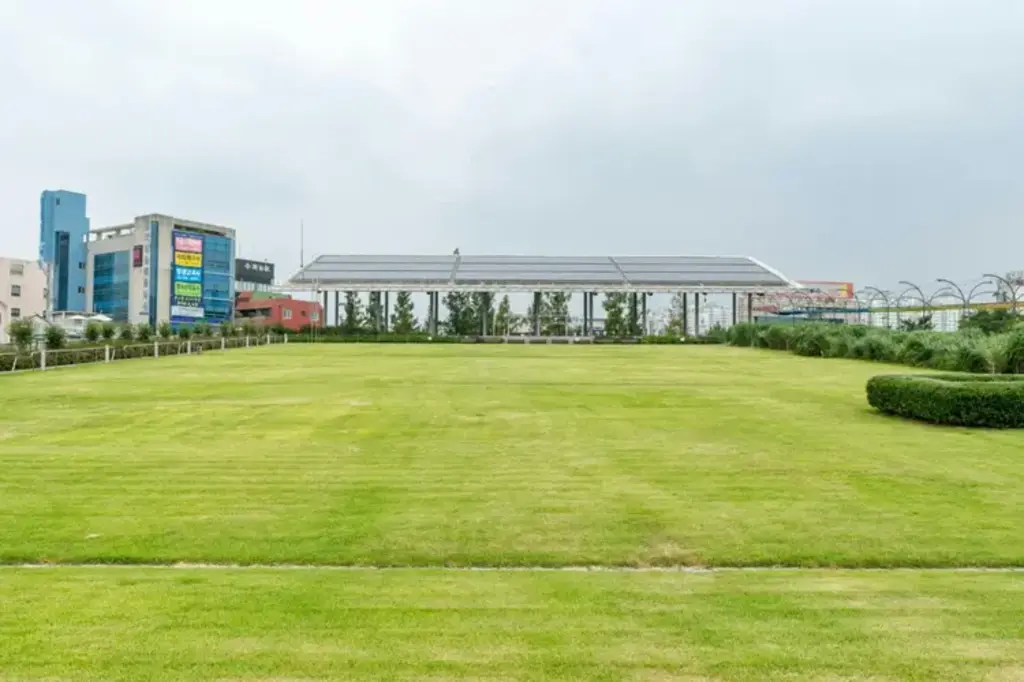 Екология и устойчивост: нови подходи за природосъобразно бъдеще