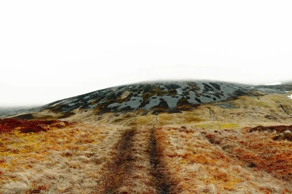 Екопътеки в България: Най-добрите маршрути за природолюбители