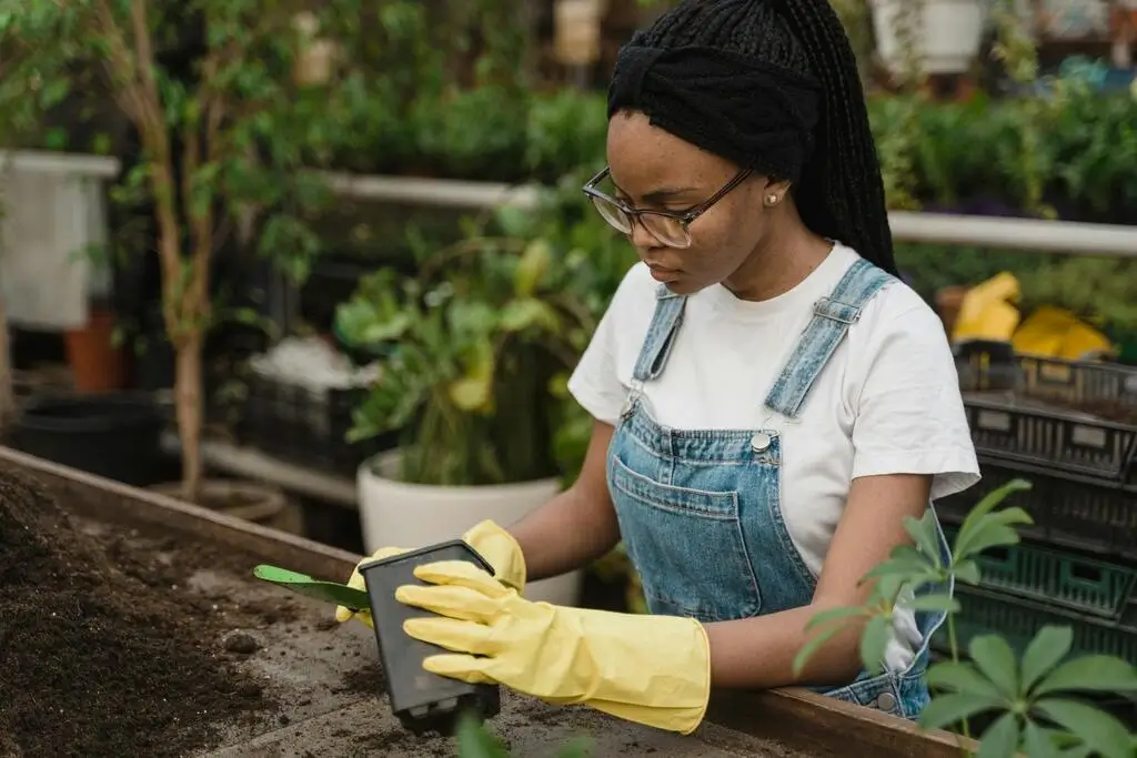 Екологични ползи от употребата на биовъглен