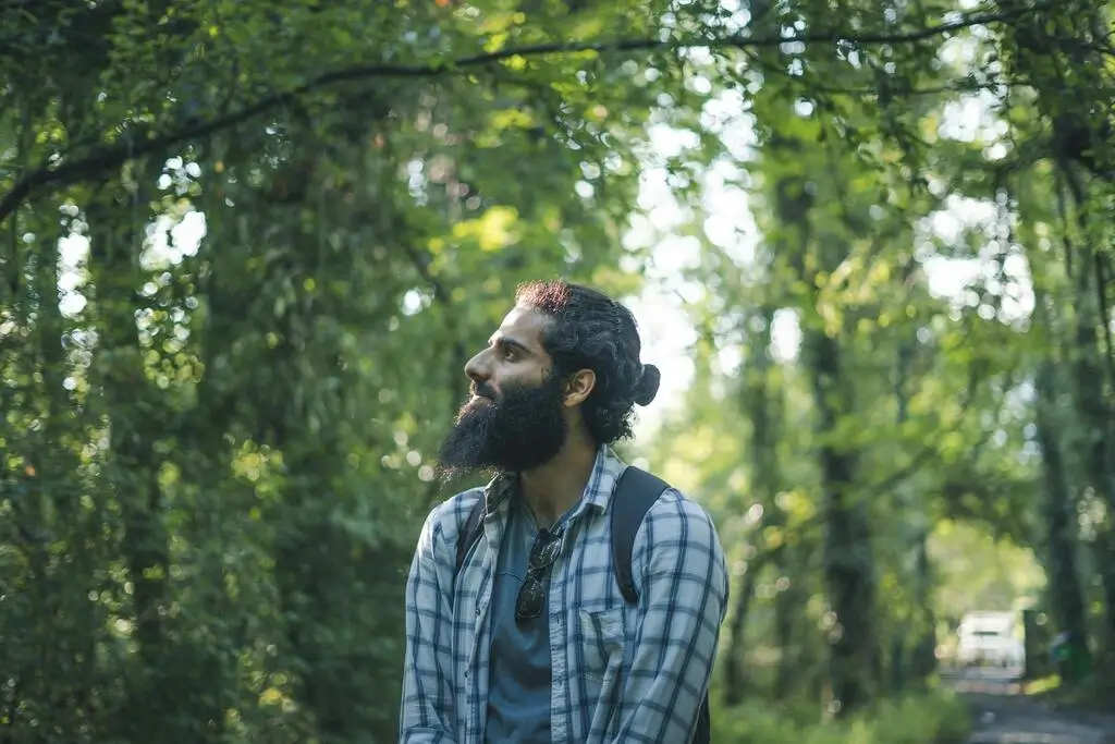 Тишината на пътеките: Родопите отвъд туристическите карти